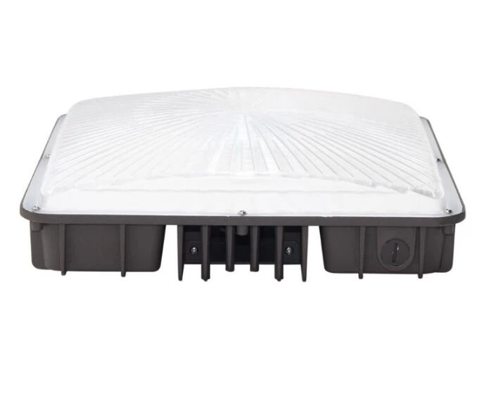 CPL02 LED Canopy Light